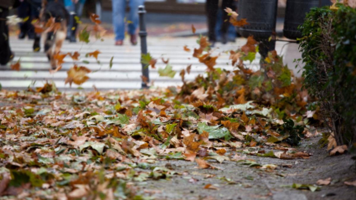 ACUM a fost transmis acest mesaj de la meteorologi. Care sunt zonele vizate