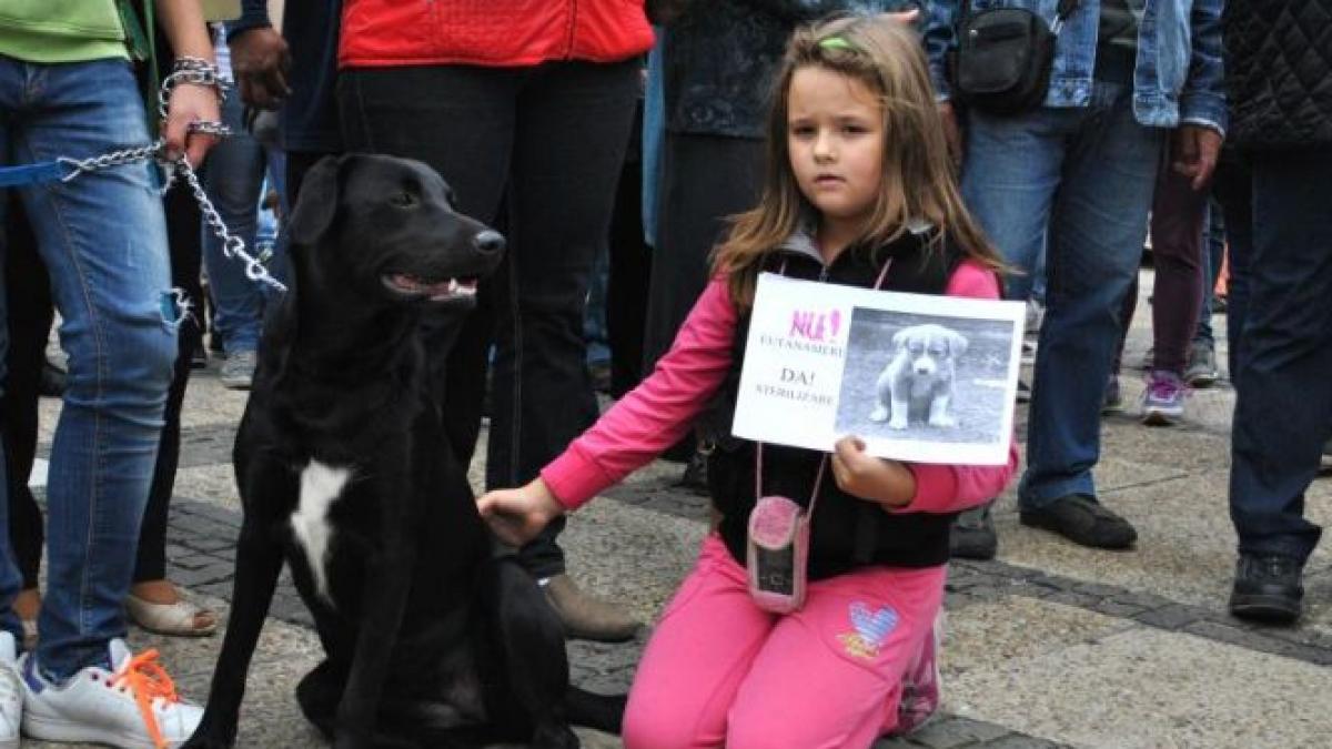 Protest  faţă de eutanasierea câinilor maidanezi, în Piaţa Universităţii