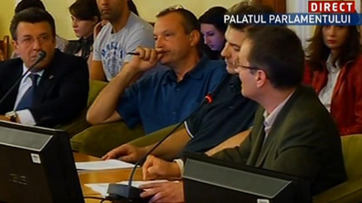 Protestatarii faţă de proiectul Roşia Montană, audiaţi în comisia specială