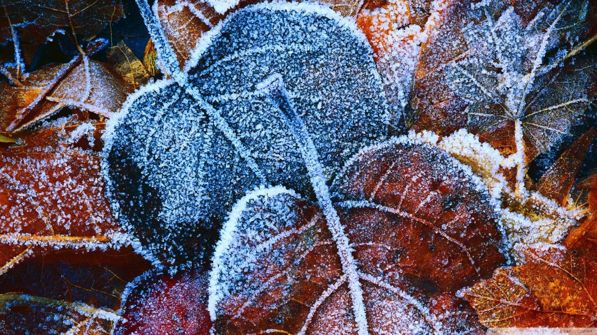 Vine IARNA peste România. Ce se întâmplă cu vremea începând de mâine. &quot;E o schimbare bruscă&quot;