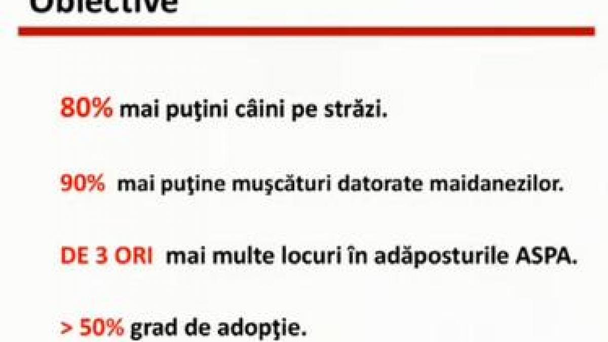 Planul lui Oprescu pentru câinii fără stăpân: Colectare în 18 luni, la un cost de 4-5 milioane de lei