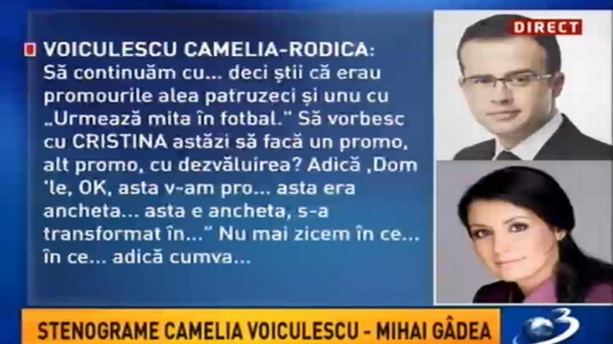 Stenograme Camelia Voiculescu - Mihai Gâdea, proba-cheie a procurorilor