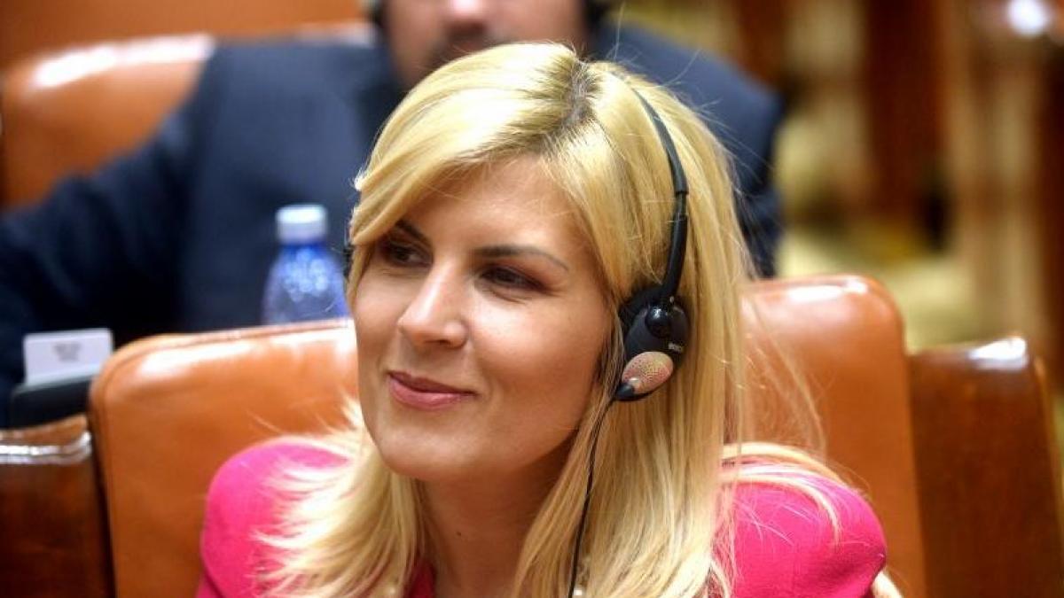 Udrea nu intră în cursa pentru prezidenţiale: Dacă aş fi condus PDL, dreapta avea un singur candidat