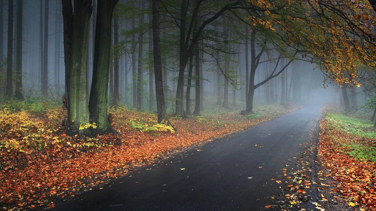 ANM a emis o INFORMARE METEO de vreme rea. Care sunt zonele vizate