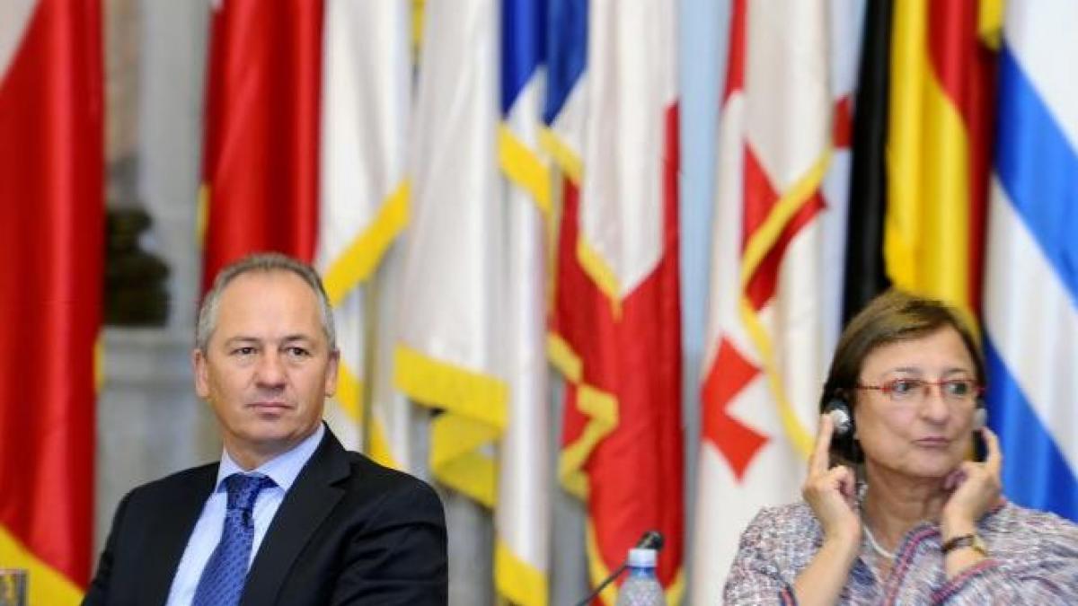 Stelian Stoian a primit avizul comisiilor de politică externă pentru postul de ambsador la NATO