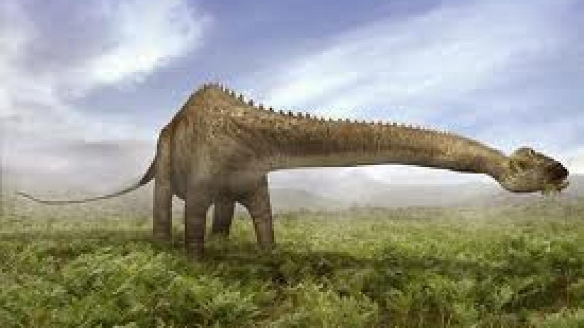 Scheletul unei femele de diplodocus a fost scos la licitaţie în Marea Britanie