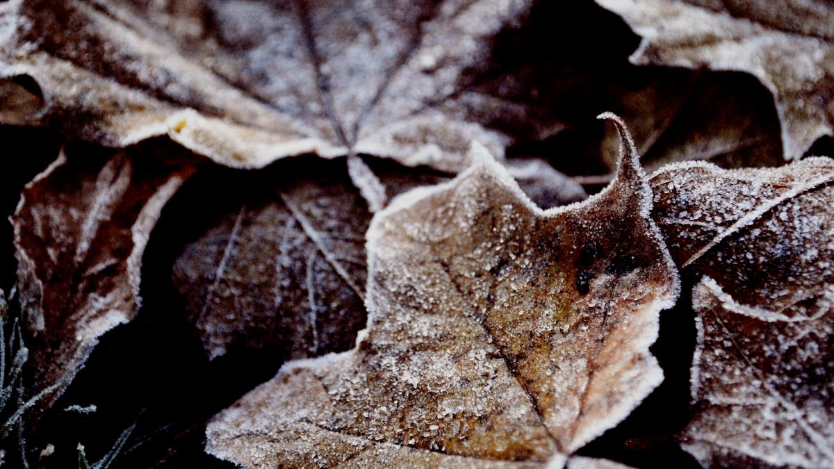 Vestea REA adusă de meteorologi în această dimineaţă. Vor cădea şi 50 l/mp, iar la munte va NINGE