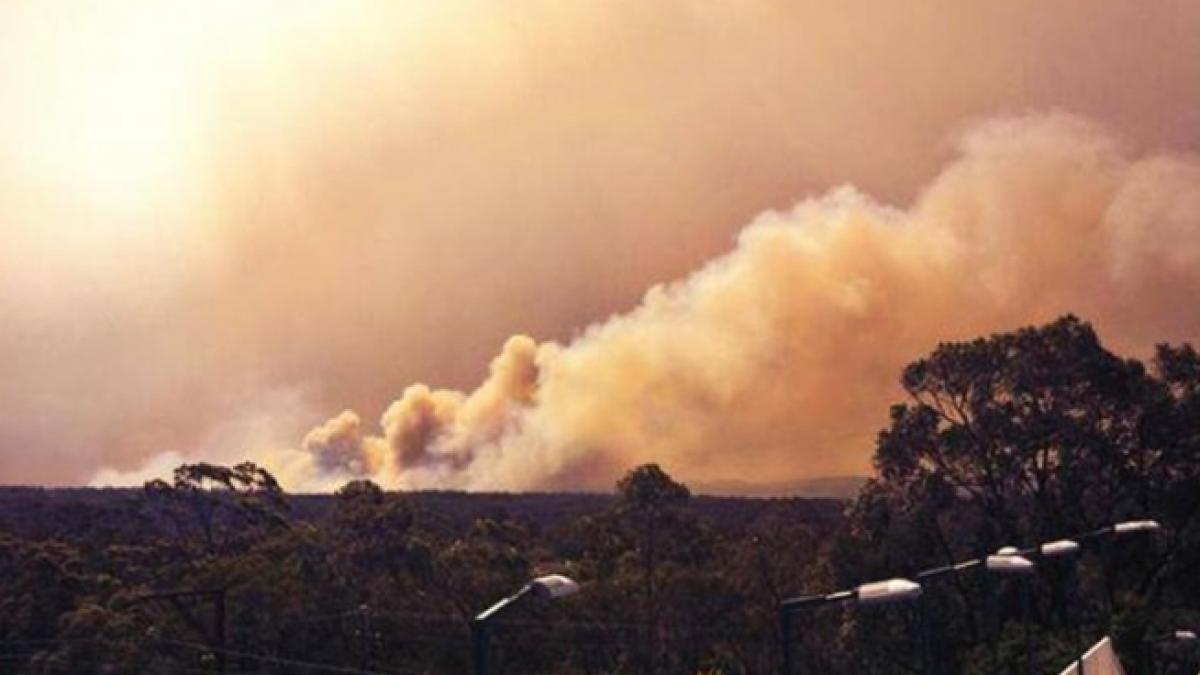 IPOTEZĂ ŞOCANTĂ. Incendiile din Australia sunt PROVOCATE