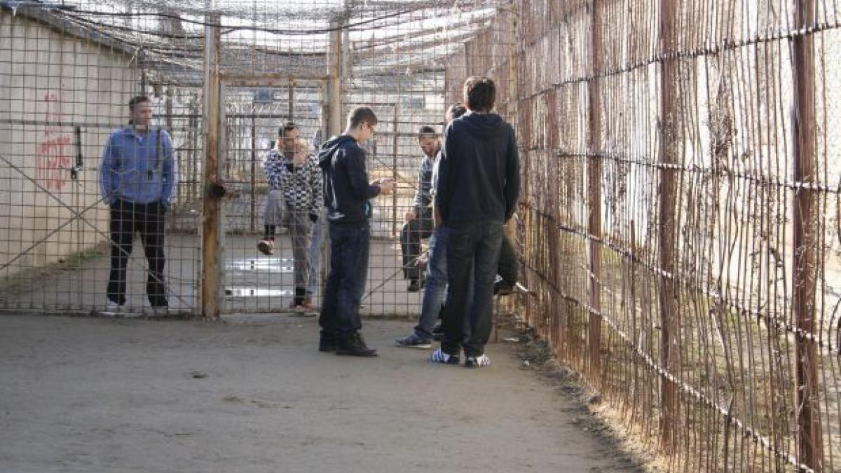 Un deţinut de la Penitenciarul Colibaşi a fost găsit SPÂNZUTAT în celulă