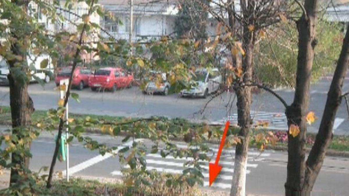 Dorel a ajuns şi la Ploieşti. Spaţiu verde, fix în mijlocul trecerii de pietoni