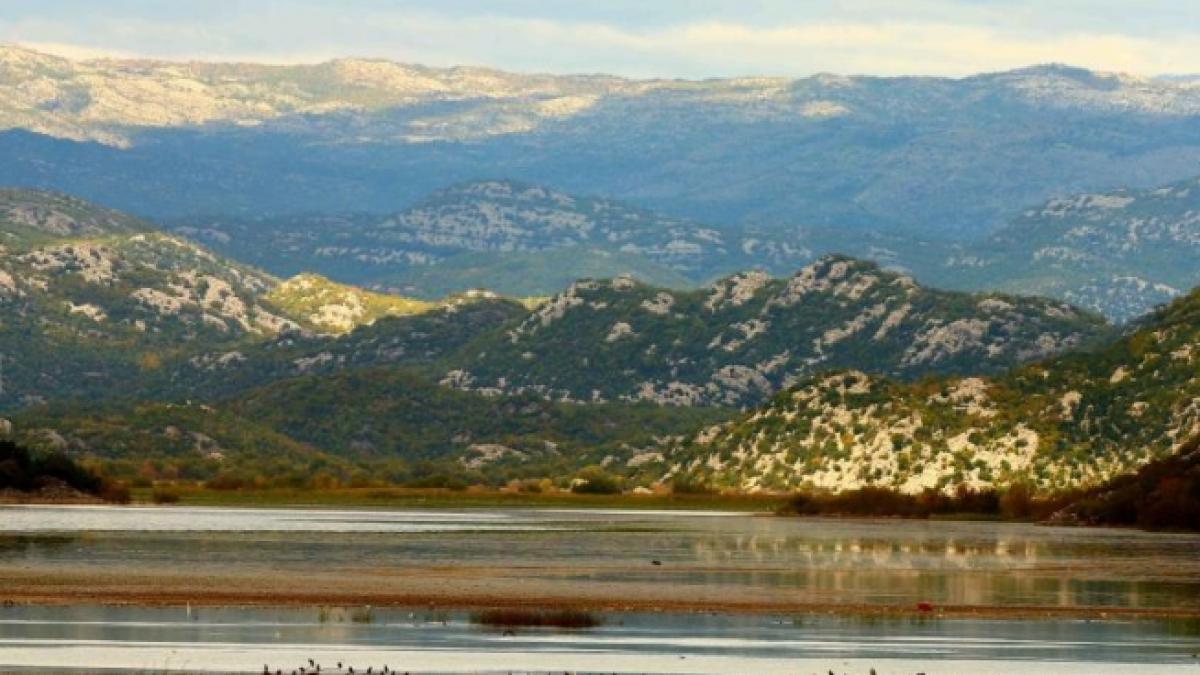 SCHIMB DE FOCURI la graniţa dintre Grecia şi Albania