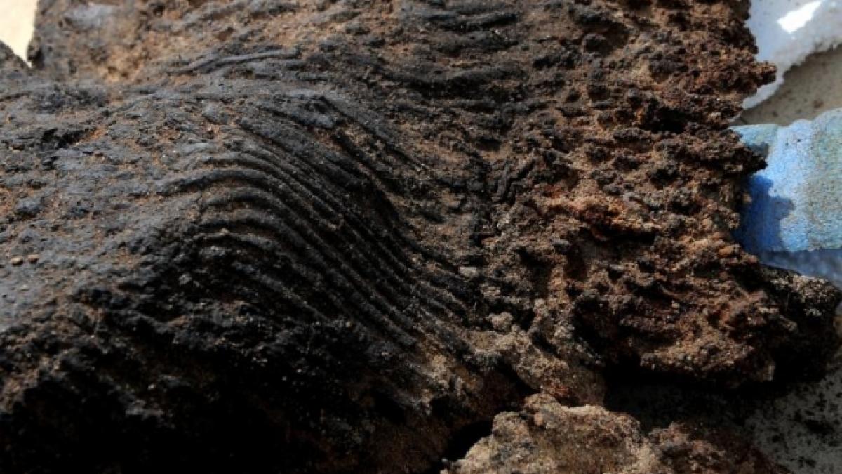 DESCOPERIRE arheologică IMPORTANTĂ la Timişoara