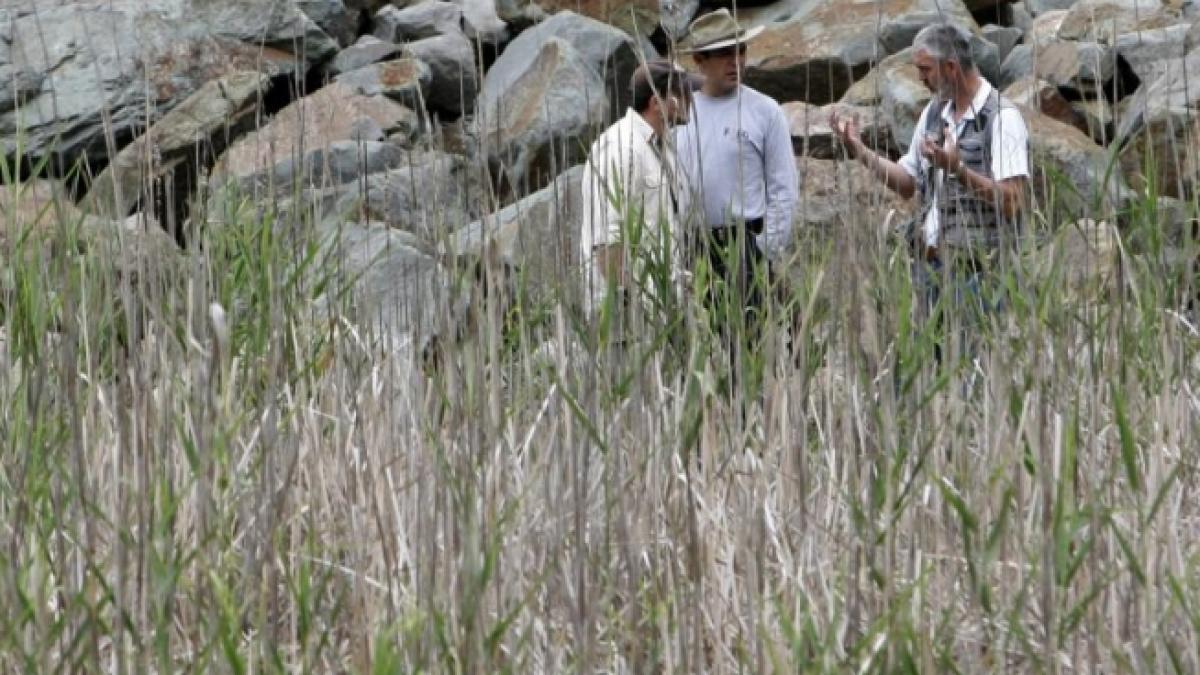 Descoperire MACABRĂ. Rămăşiţe UMANE au fost găsite în Serbia, în timpul unor săpături