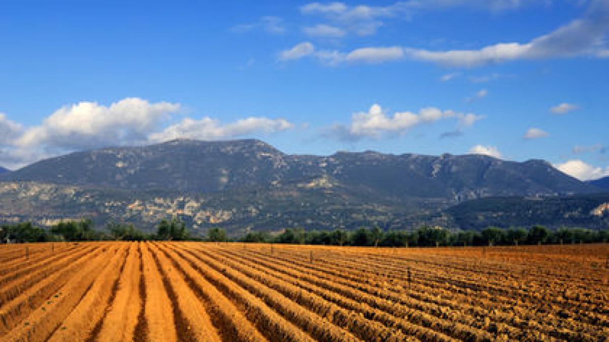 Grecia EXTINDE TAXELE către terenurile agricole