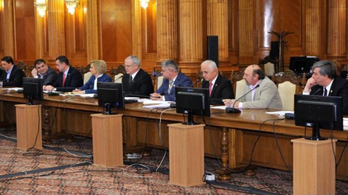 Comisia Nana a solicitat OCPI Călăraşi documente cu privire la terenurile din zona comunei