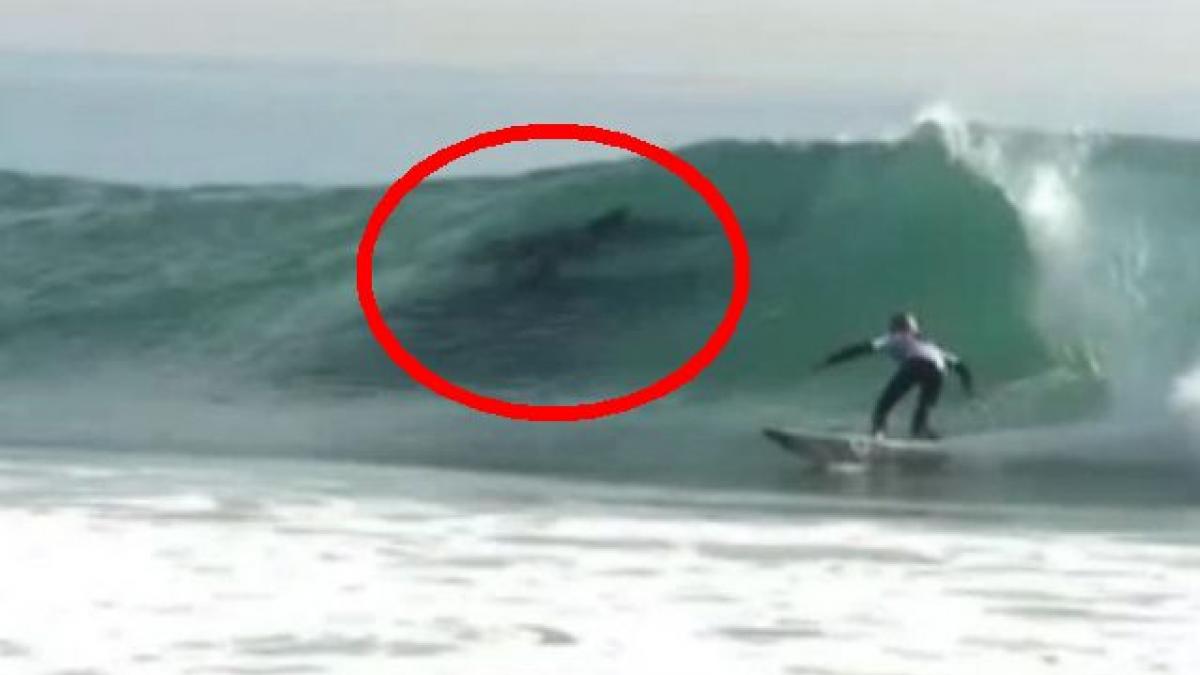 Apariţie SENZAŢIONALĂ lângă un surfer. Ce au surprins fotografii în valuri