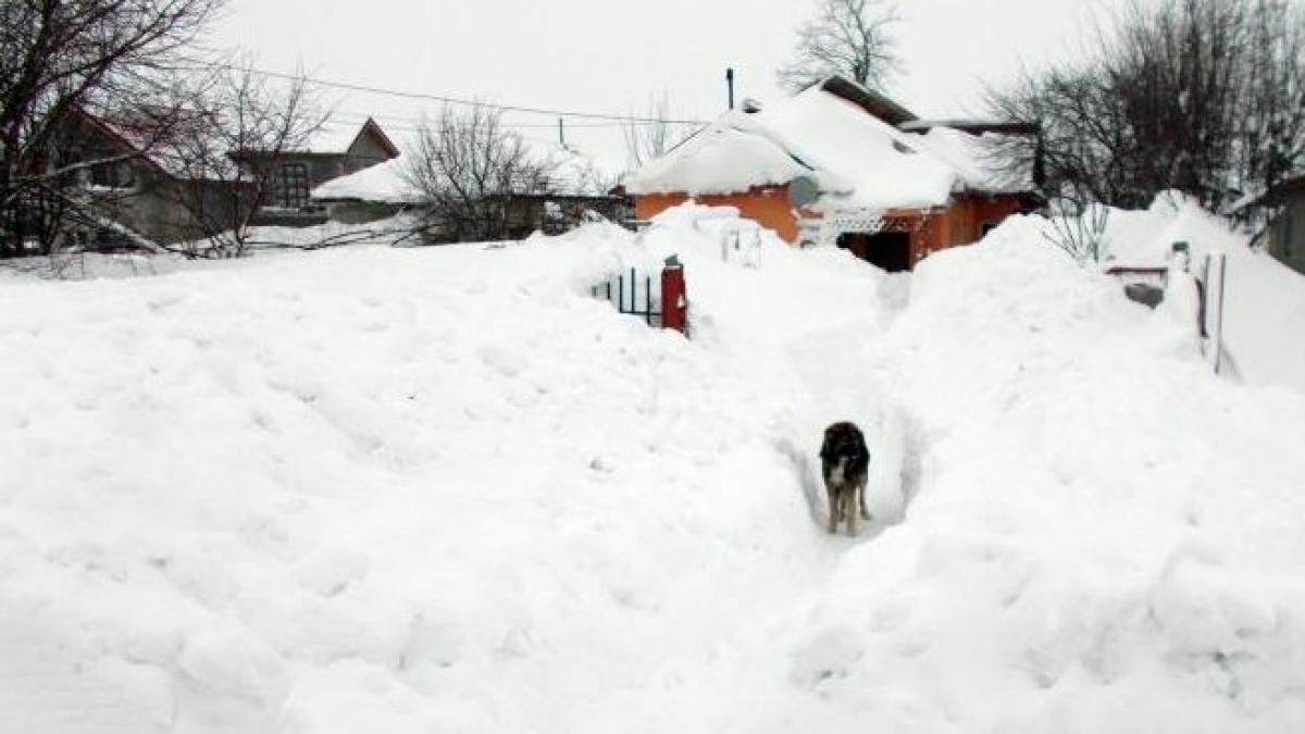 În satele brăilene, jandarmii au luat la lopată nămeţii ca să îi scoată pe oameni din casele îngropate în zăpadă 