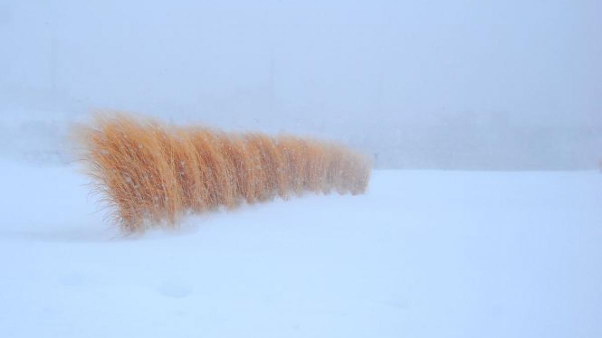 Urmează temperaturi de MINUS 20 de grade