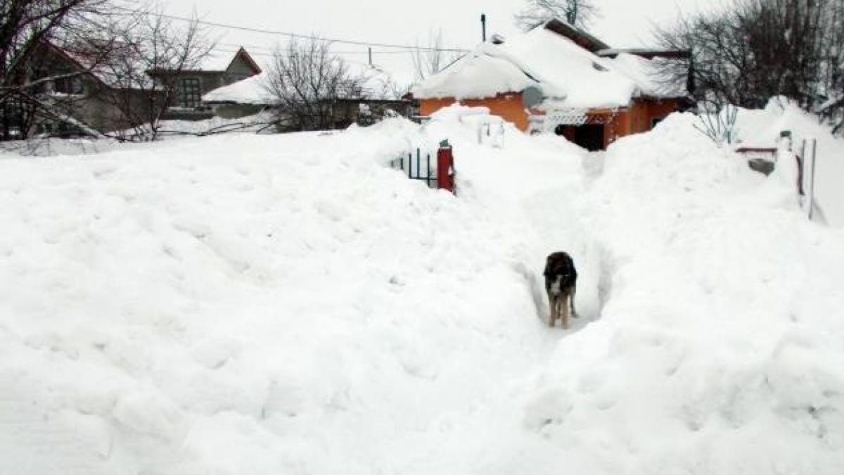 O bătrână din Dâmboviţa, captivă în casă, strigă după AJUTOR. &quot;Am cerut ajutor la stat şi m-au luat la mişto&quot;