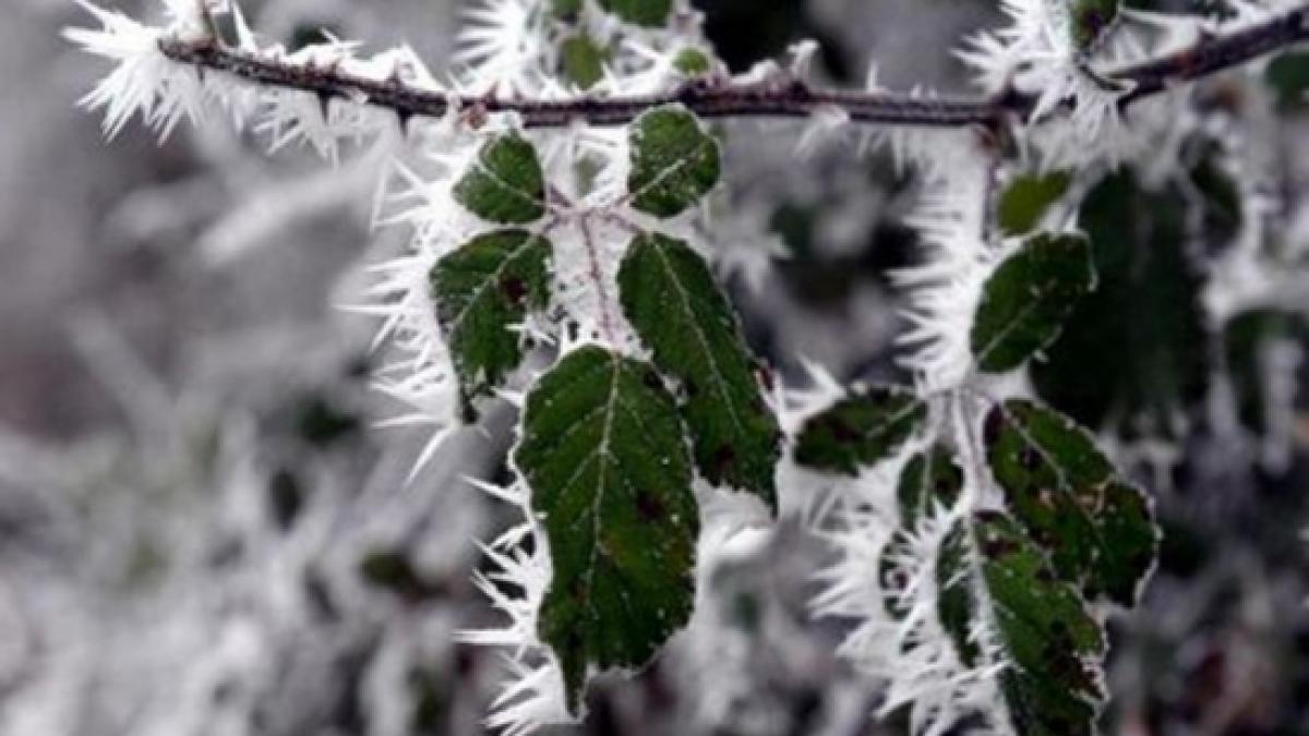 E frig de-ngheaţă pietrele, la propriu. Minus 24 de grade la Miercurea Ciuc, cea mai scăzută temperatură înregistrată anul acesta