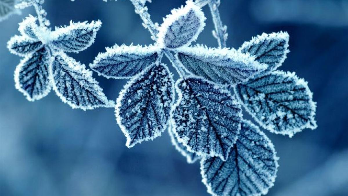 Cea mai scăzută temperatură din această iarnă: minus 25,3 grade, la Miercurea Ciuc