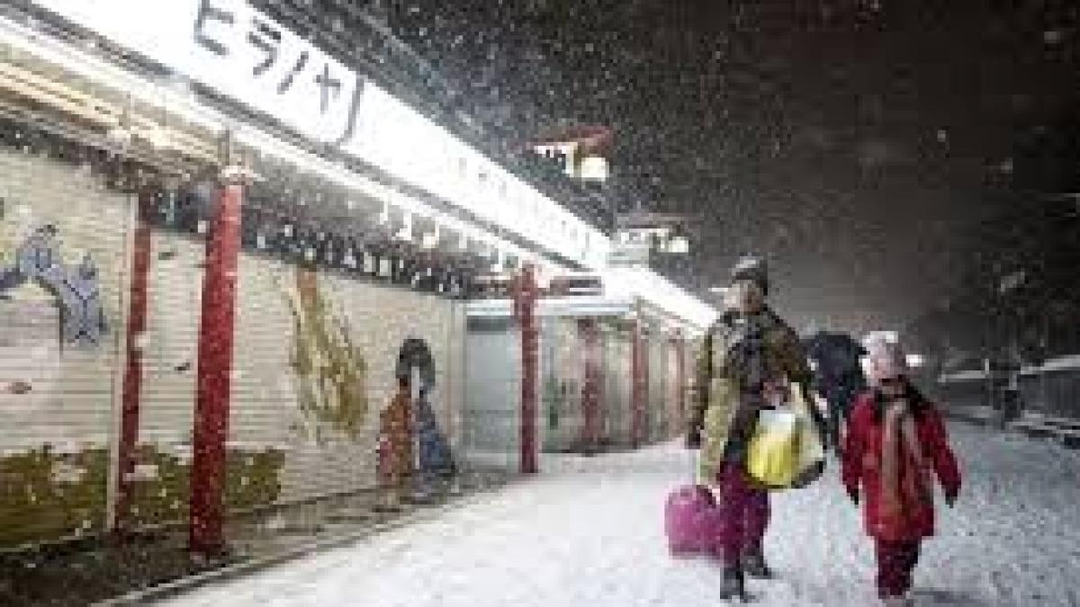 O furtună de zăpadă din Japonia a lăsat în urmă 11 morţi şi 1.250 de răniţi