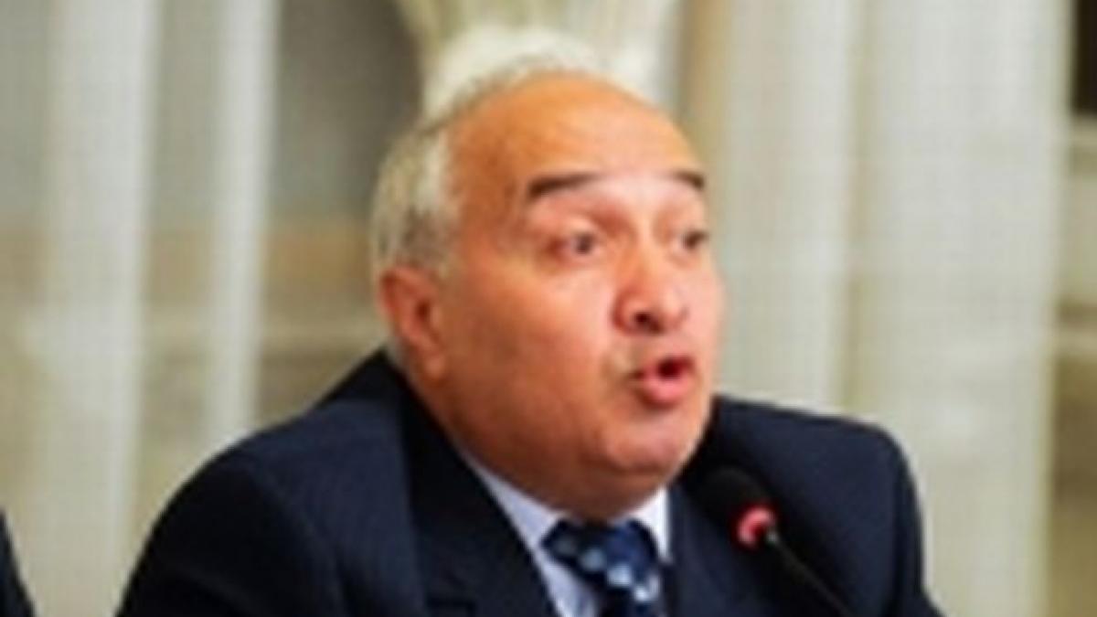 Comisia Nana vrea aducerea cu mandat a lui Adrian Rădulescu