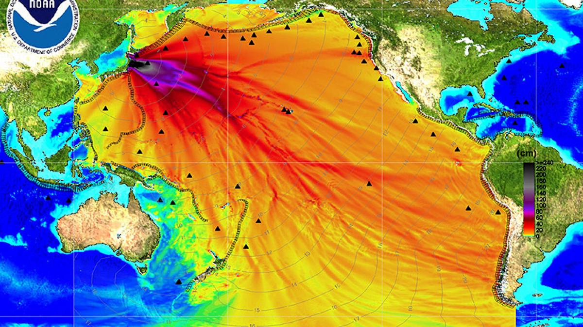 &quot;Poluarea este fără precedent&quot;. Ce au anunţat autorităţile de la Fukushima