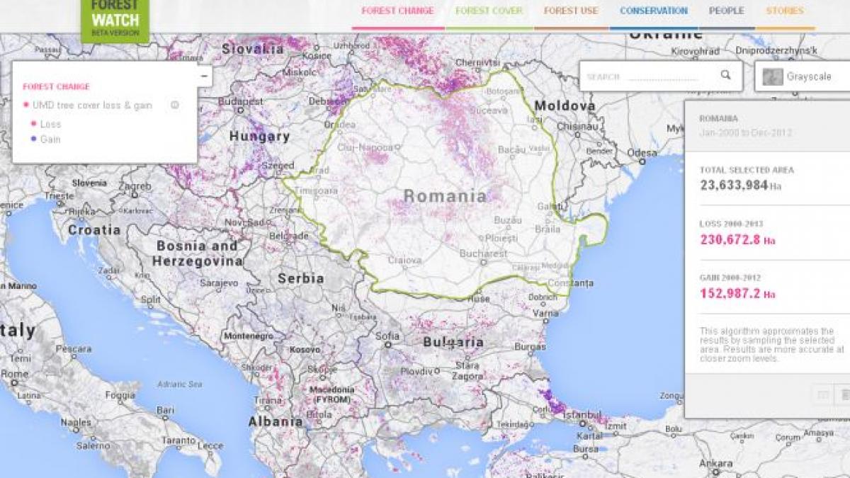 Un site care monitorizează despăduririle, lansat de Google