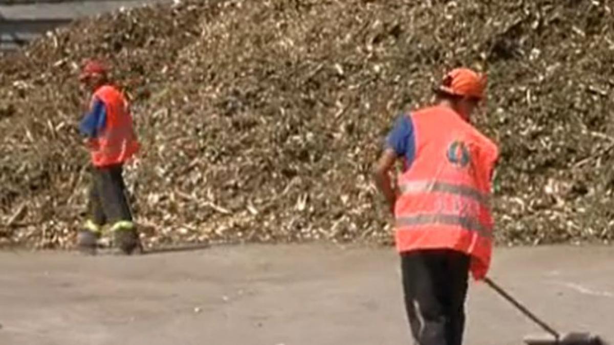 Scandal pe piaţa deşeurilor. 2.000 de firme de colectare a ambalajelor pentru reciclare se plâng că sunt scoase de pe piaţă, în favoarea firmelor de salubritate