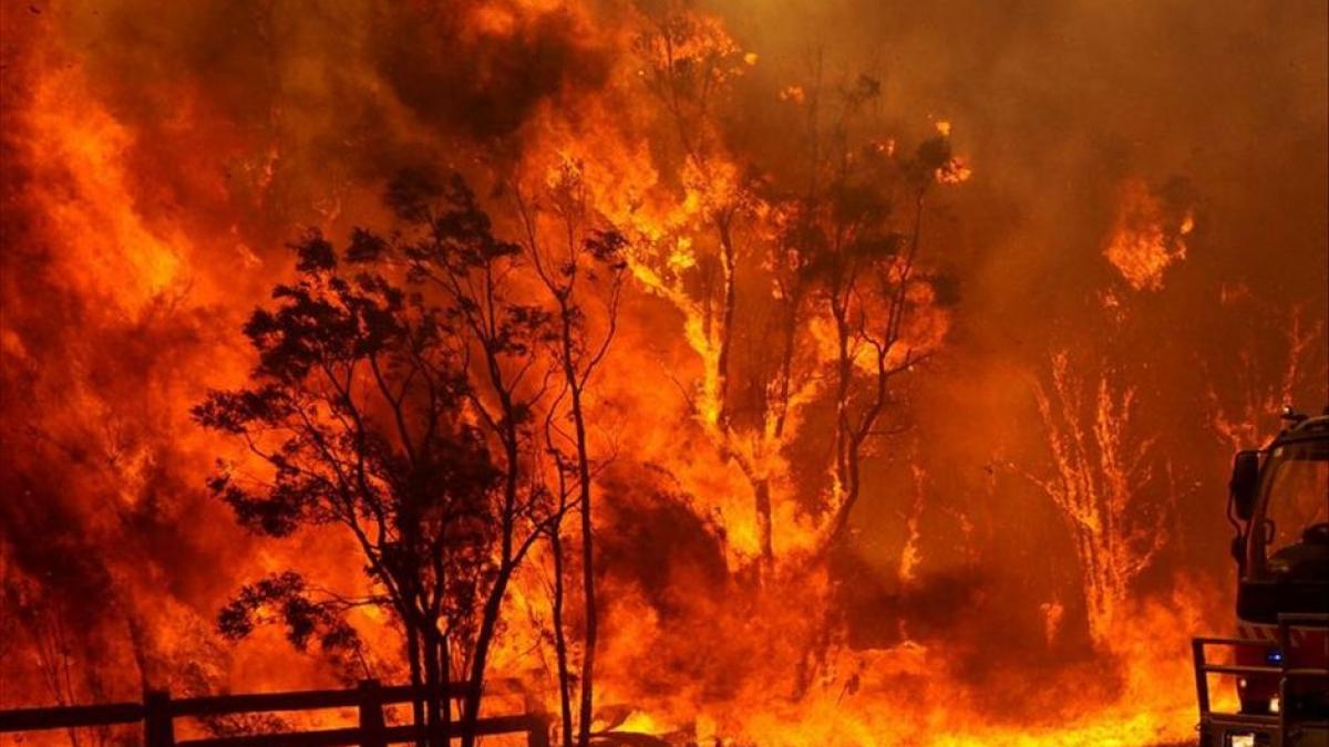 &quot;2014, cel mai călduros an din istorie&quot;. Ce se va întâmpla în această vară pe Terra