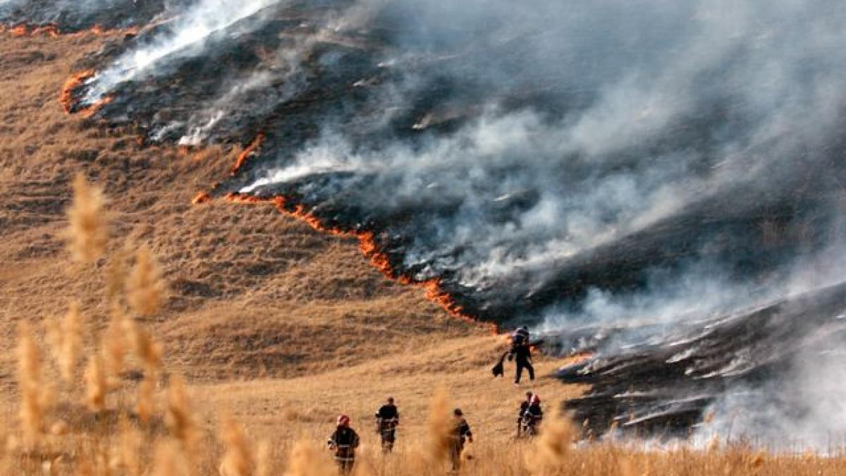 Incendiile de vegetaţie au distrus hectare întregi de pădure şi mirişte în Harghita. Oamenii au pus focul