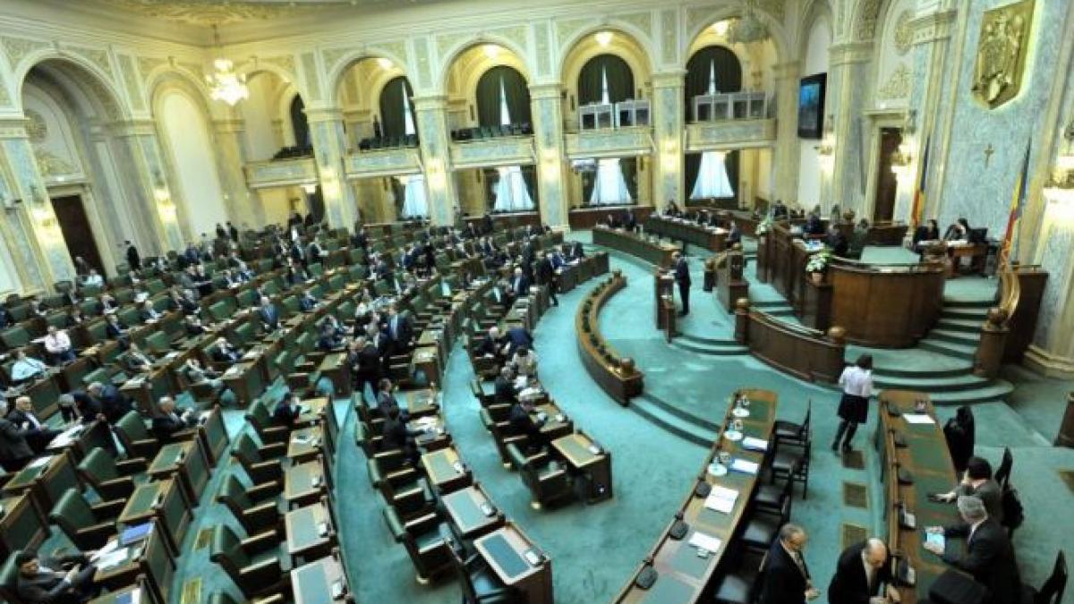 Proiect de lege care prevede impozitarea şi reglementarea pornografiei, dezbătut în Comisia de Cultură