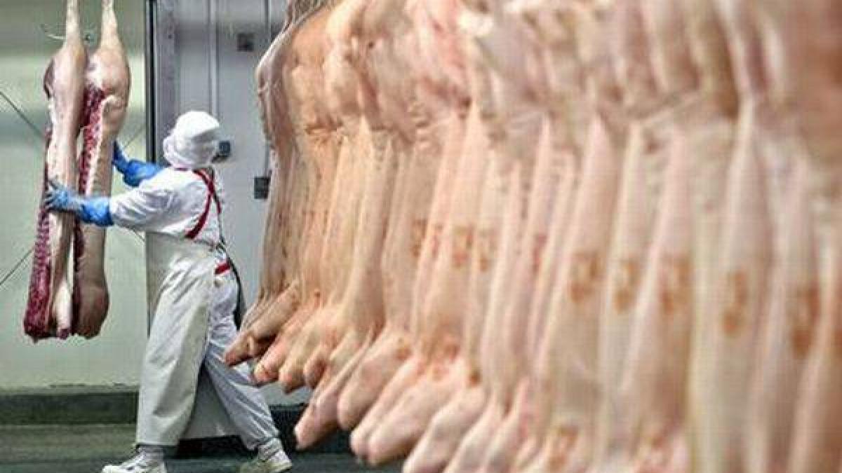 Cantitatea URIAŞĂ de carne stricată ar fi putut îmbolnăvi un MILION de români. Cifrele dezastrului