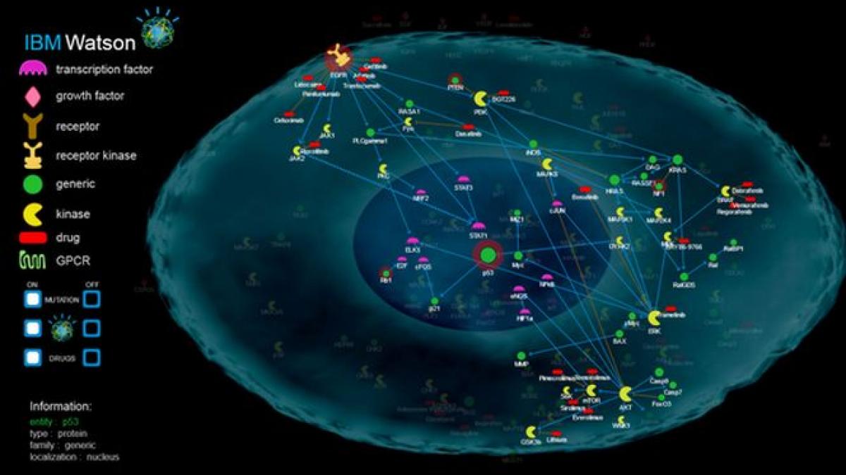 Un super-computer va oferi tratamente personalizate bolnavilor de cancer