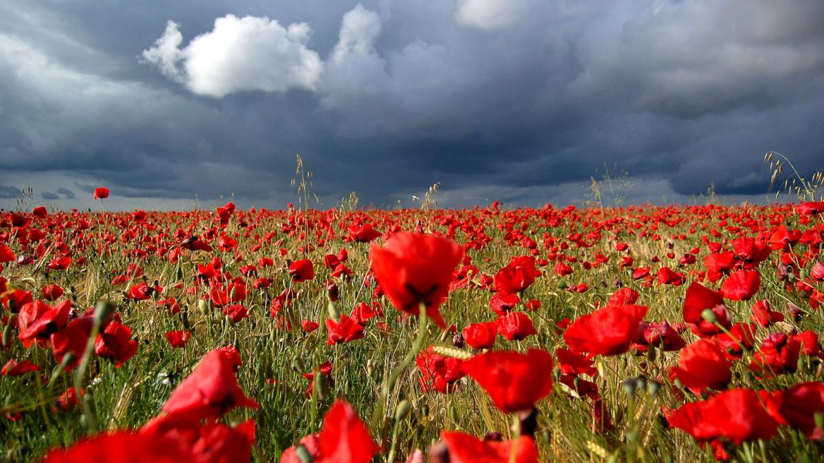 Anunţul de ULTIMĂ ORĂ al meteorologilor. &quot;Se STRICĂ VREMEA! Care sunt zonele vizate&quot;