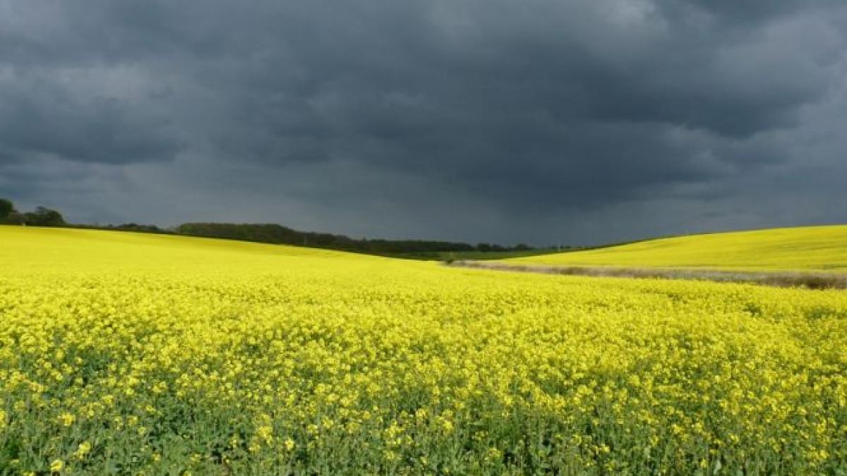 Cum va fi vremea în următoarele două zile? Prognoza meteo pentru miercuri şi joi