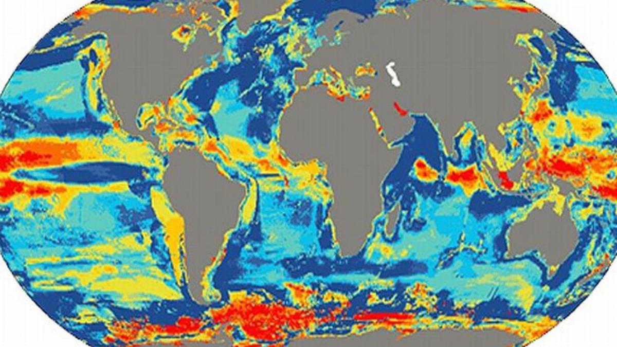 Secretarul de Stat american: Lipsa acţiunii în privinţa schimbărilor climatice va avea efecte catastrofale. Nu ne permitem să nu acţionăm