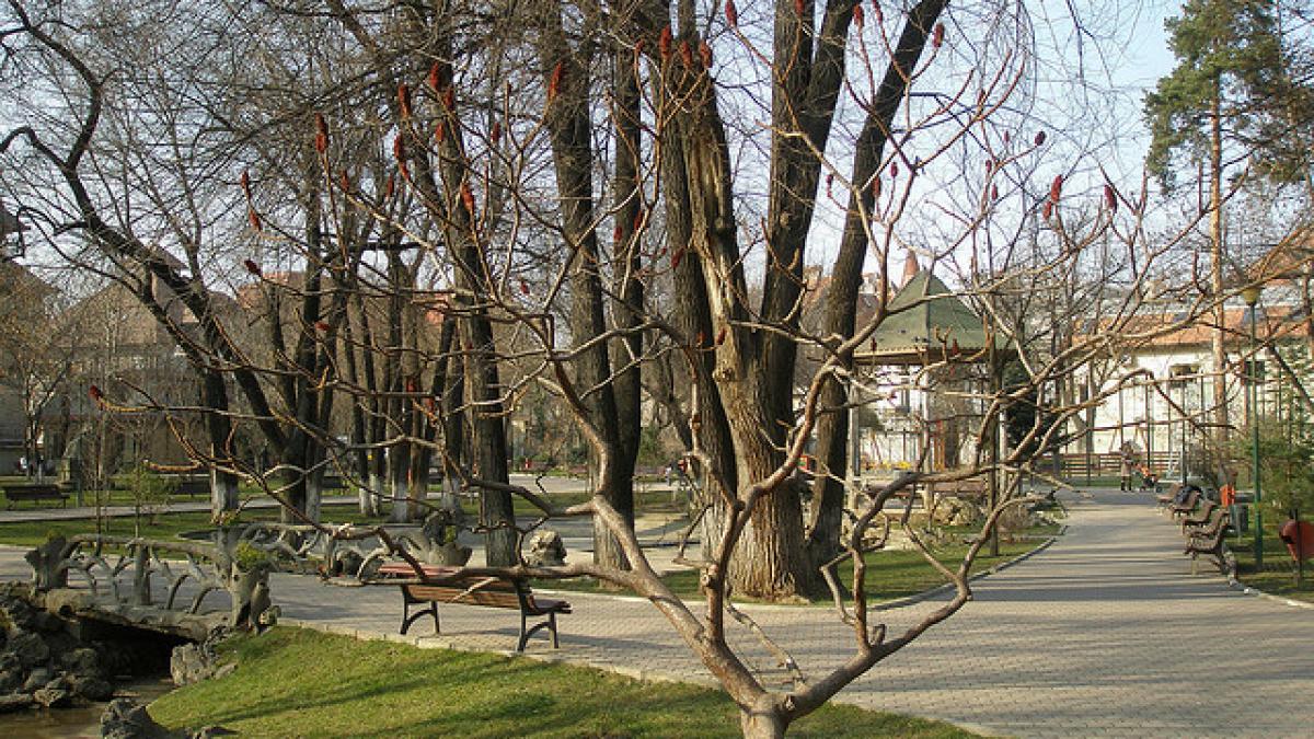 Bucureştenii din Sectorul 2 au rămas fără parc şi parcarea din sector. Pe terenul respectiv se va construi un bloc