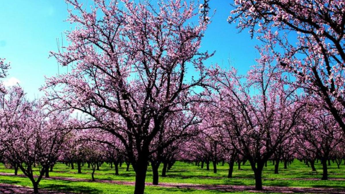 Vremea se încălzeşte de mâine. Vezi prognoza meteo până miercuri