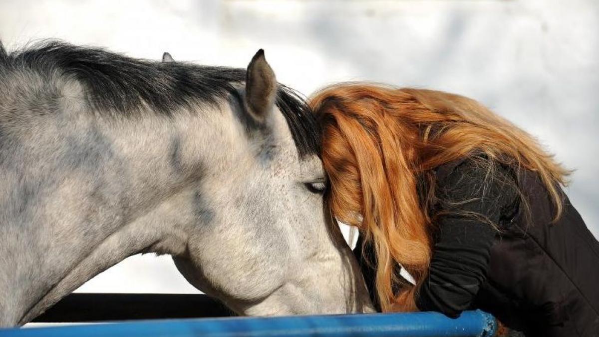 NUMAI DE BINE: Echitaţia, mişcare nobilă