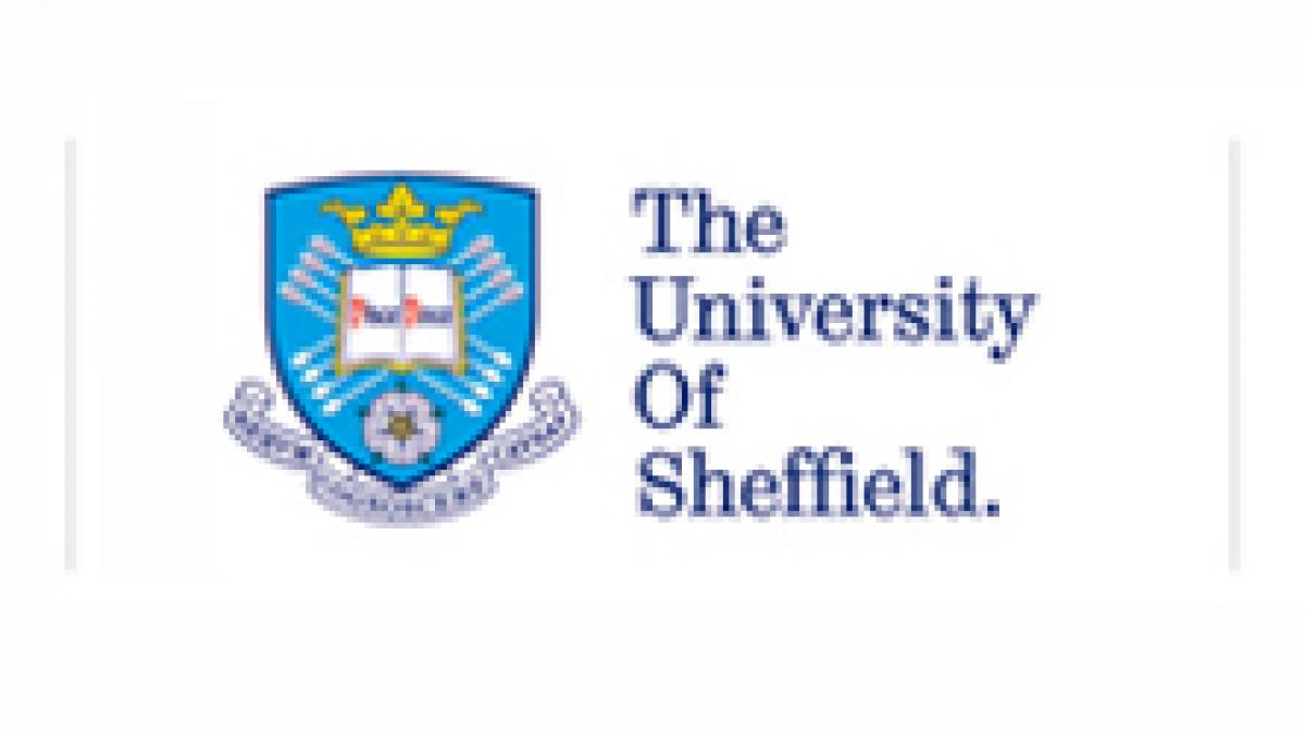 Daily Income și Universitatea Sheffield au ales câștigătorul bursei Executive MBA