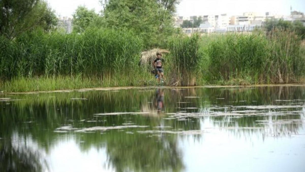 Delta Văcăreşti a devenit oficial rezervaţie naturală, protejată de lege