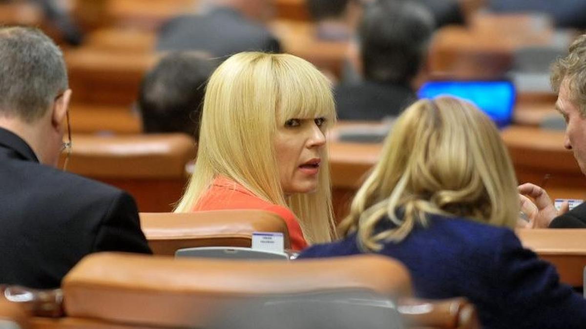 Nereguli cu BANI PUBLICI la ministerul condus de Elena Udrea