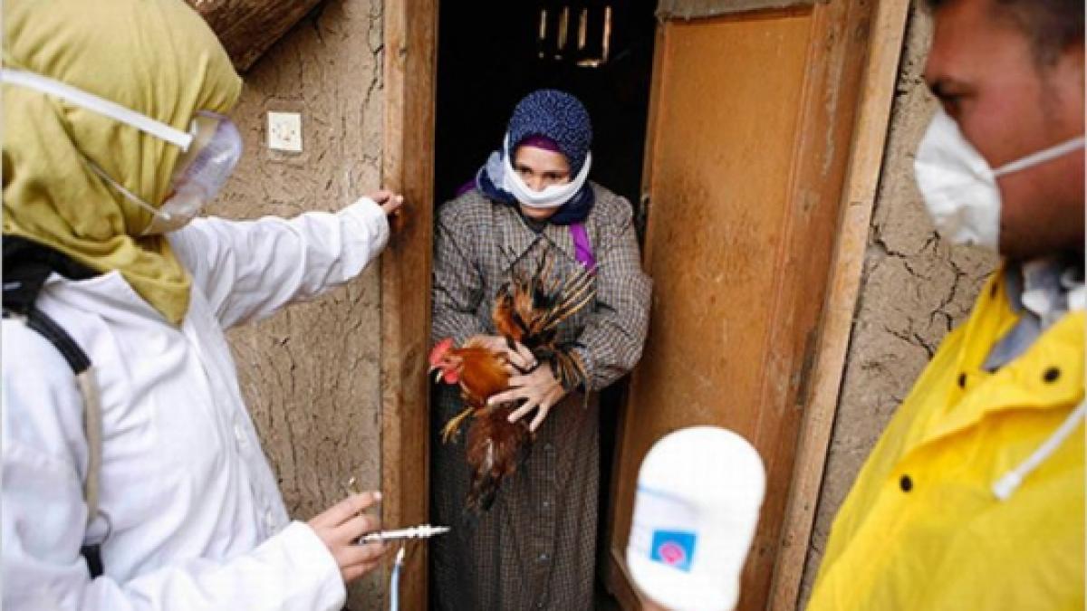 China anunță primul deces provocat de virusul gripei aviare H5N6