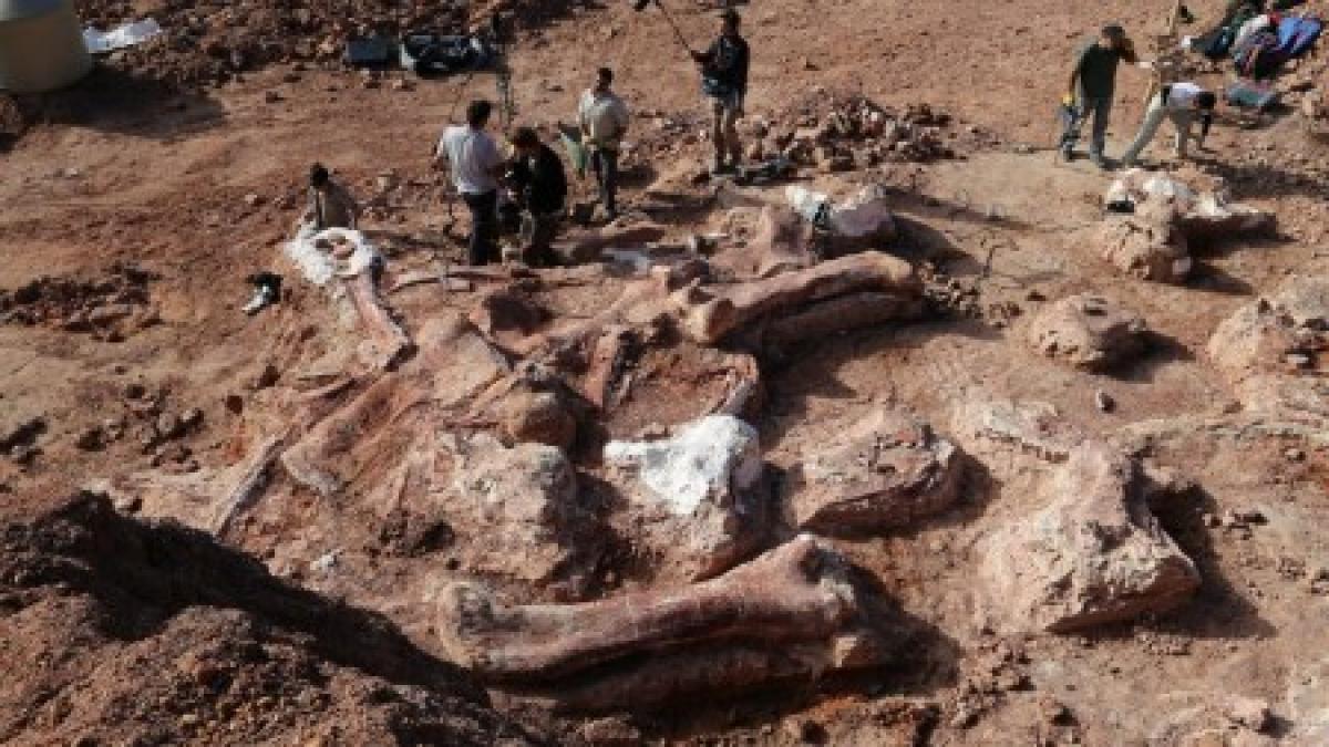 &quot;Am descoperit ce se afla pe Terra în urmă cu 90 de MILIOANE de ani&quot;. Descoperire IMPRESIONANTĂ în Argentina