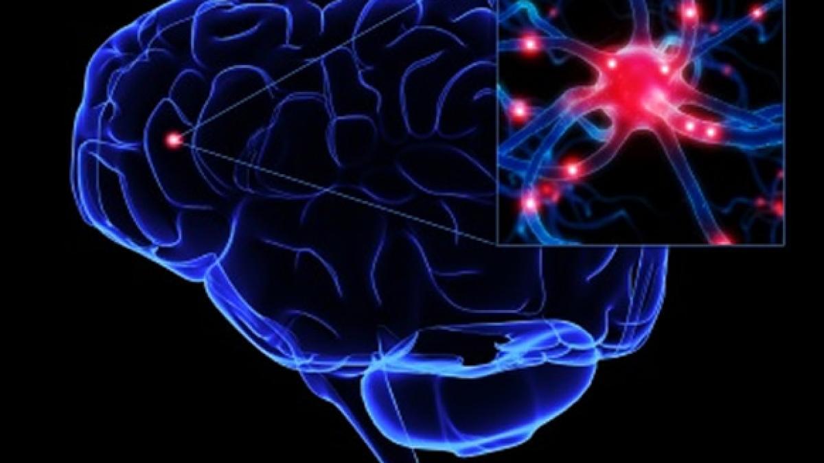 epilepsy-causes-and-treatment.jpg