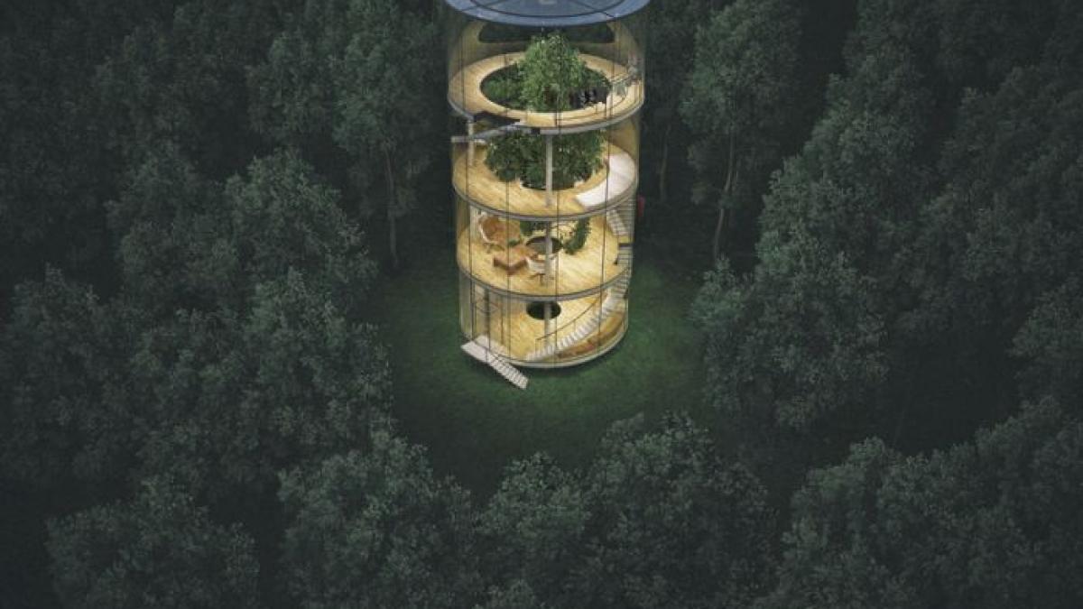 tree_house_06.jpg