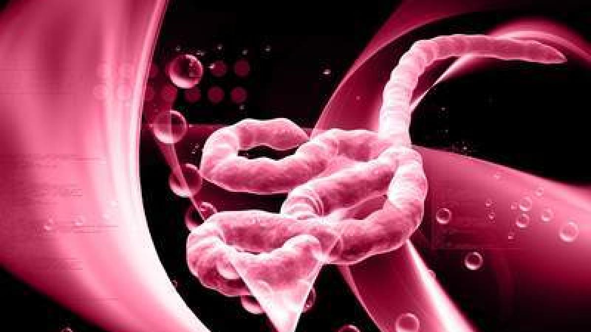 bskyb_image_ebola_virus_1_400x240.jpg