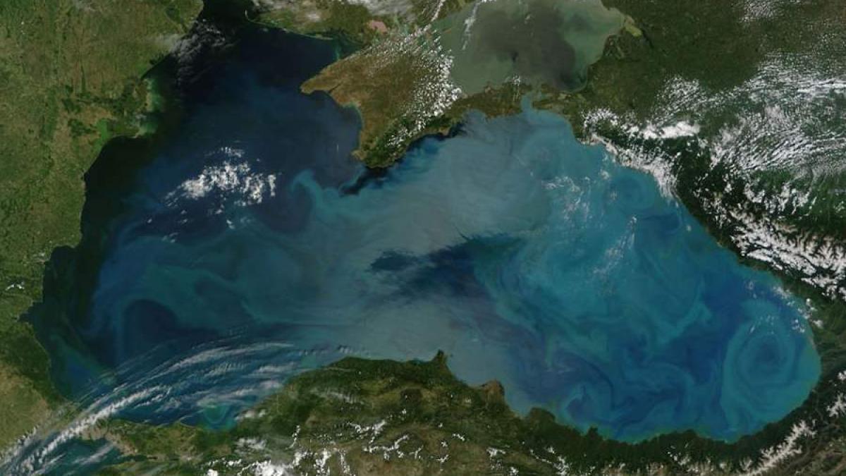 Bloom-of-phytoplankton-in-the-Black-Sea.jpg